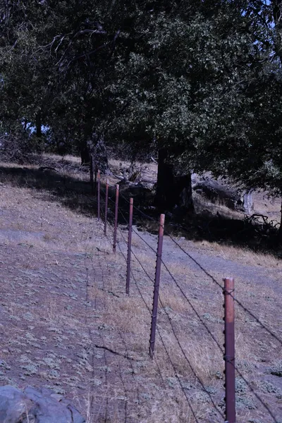 DSC_2221 (Large).JPG